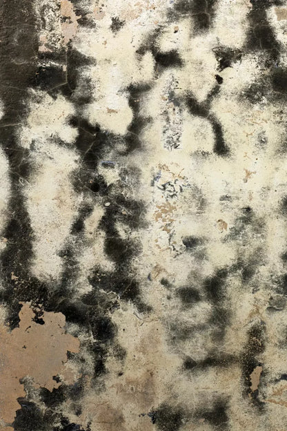 Domain 5’X8’ Ultracloth (60 X 96 Inch) Backdrop