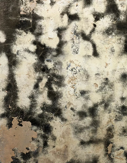Domain 6’X8’ Fleece (72 X 96 Inch) Backdrop
