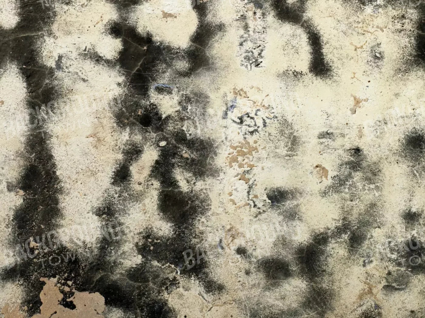 Domain 7’X5’ Ultracloth (84 X 60 Inch) Backdrop