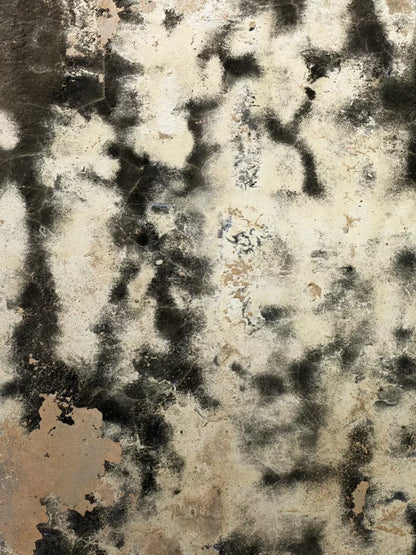 Domain 8’X10’ Fleece (96 X 120 Inch) Backdrop