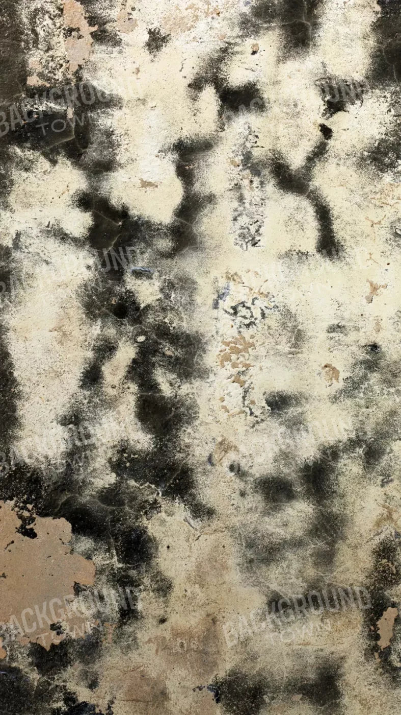 Domain 8’X14’ Ultracloth (96 X 168 Inch) Backdrop