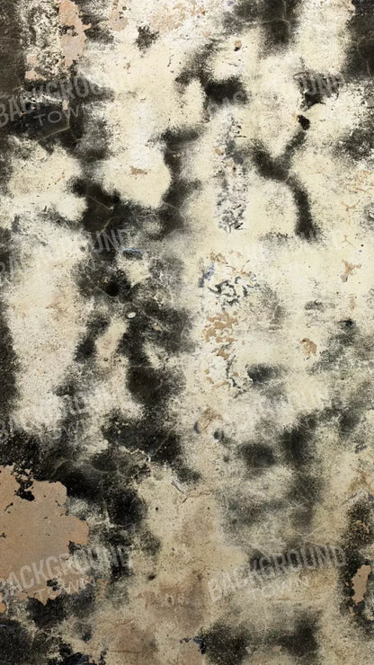 Domain 8’X14’ Ultracloth (96 X 168 Inch) Backdrop