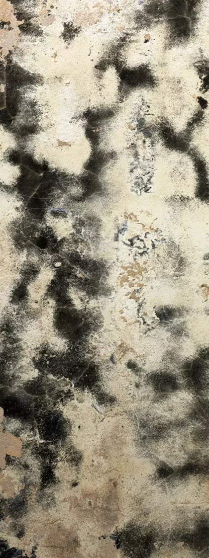 Domain 8’X20’ Ultracloth (96 X 240 Inch) Backdrop