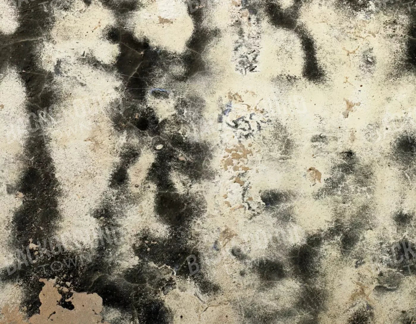 Domain 8’X6’ Fleece (96 X 72 Inch) Backdrop