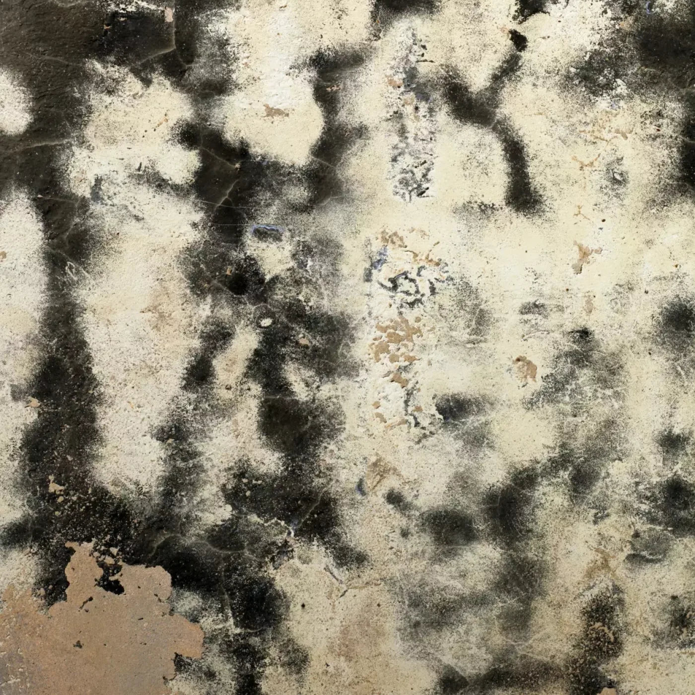 Domain Backdrop
