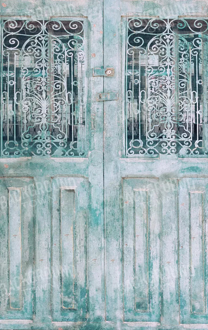 Doora3 10X16 Ultracloth ( 120 X 192 Inch ) Backdrop