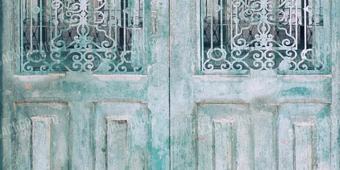 Doora3 20X10 Ultracloth ( 240 X 120 Inch ) Backdrop