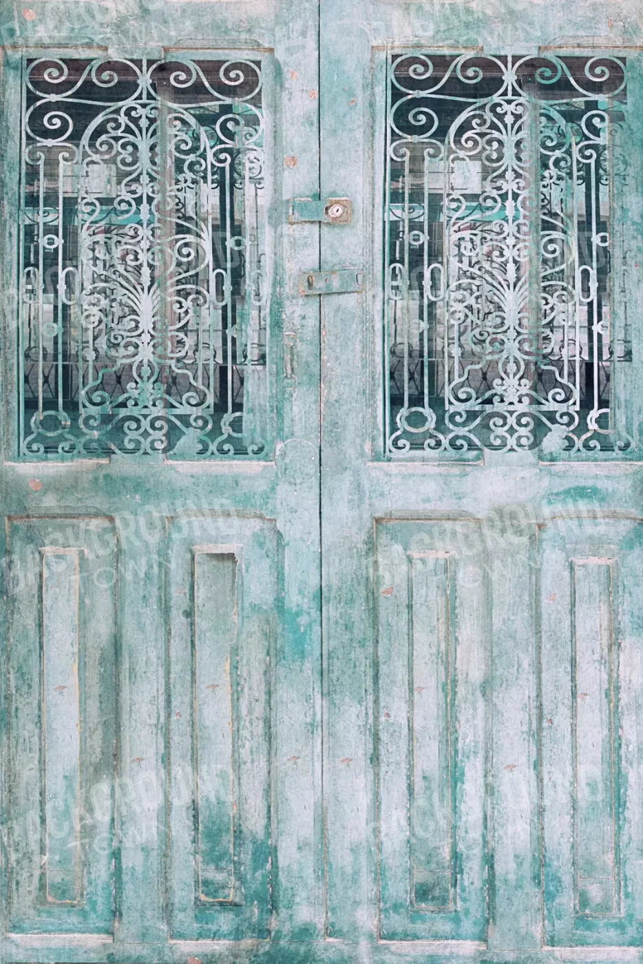 Doora3 5X8 Ultracloth ( 60 X 96 Inch ) Backdrop