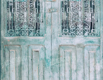 Doora3 8X6 Fleece ( 96 X 72 Inch ) Backdrop