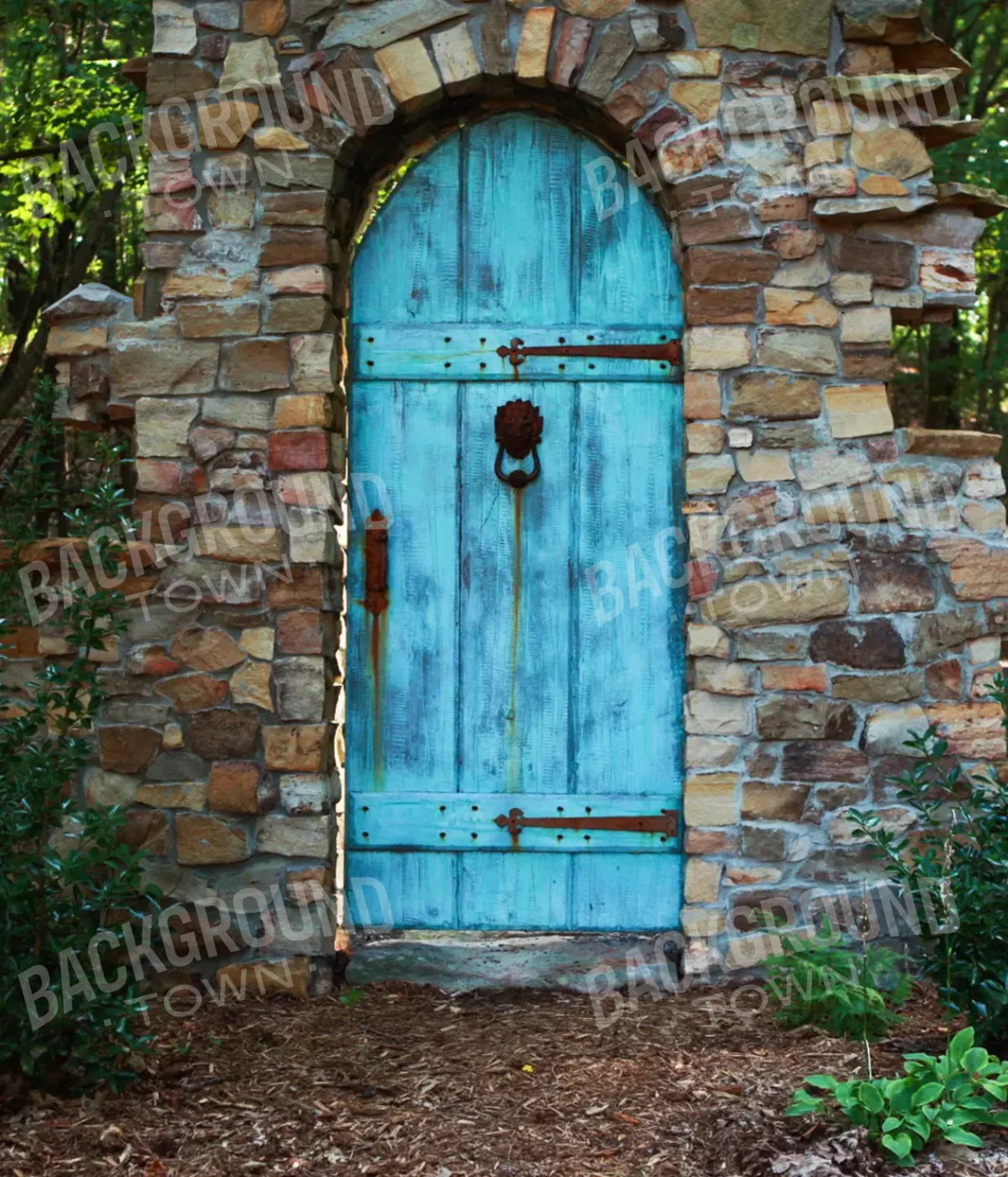 Doorway To Dreams 10X12 Ultracloth ( 120 X 144 Inch ) Backdrop
