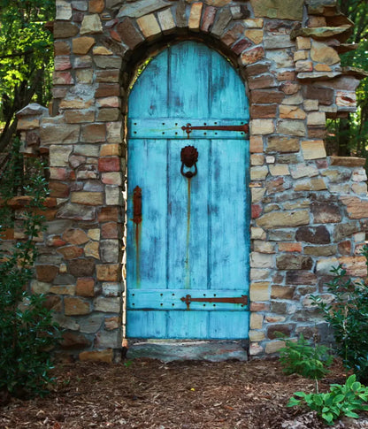 Doorway To Dreams 10X12 Ultracloth ( 120 X 144 Inch ) Backdrop