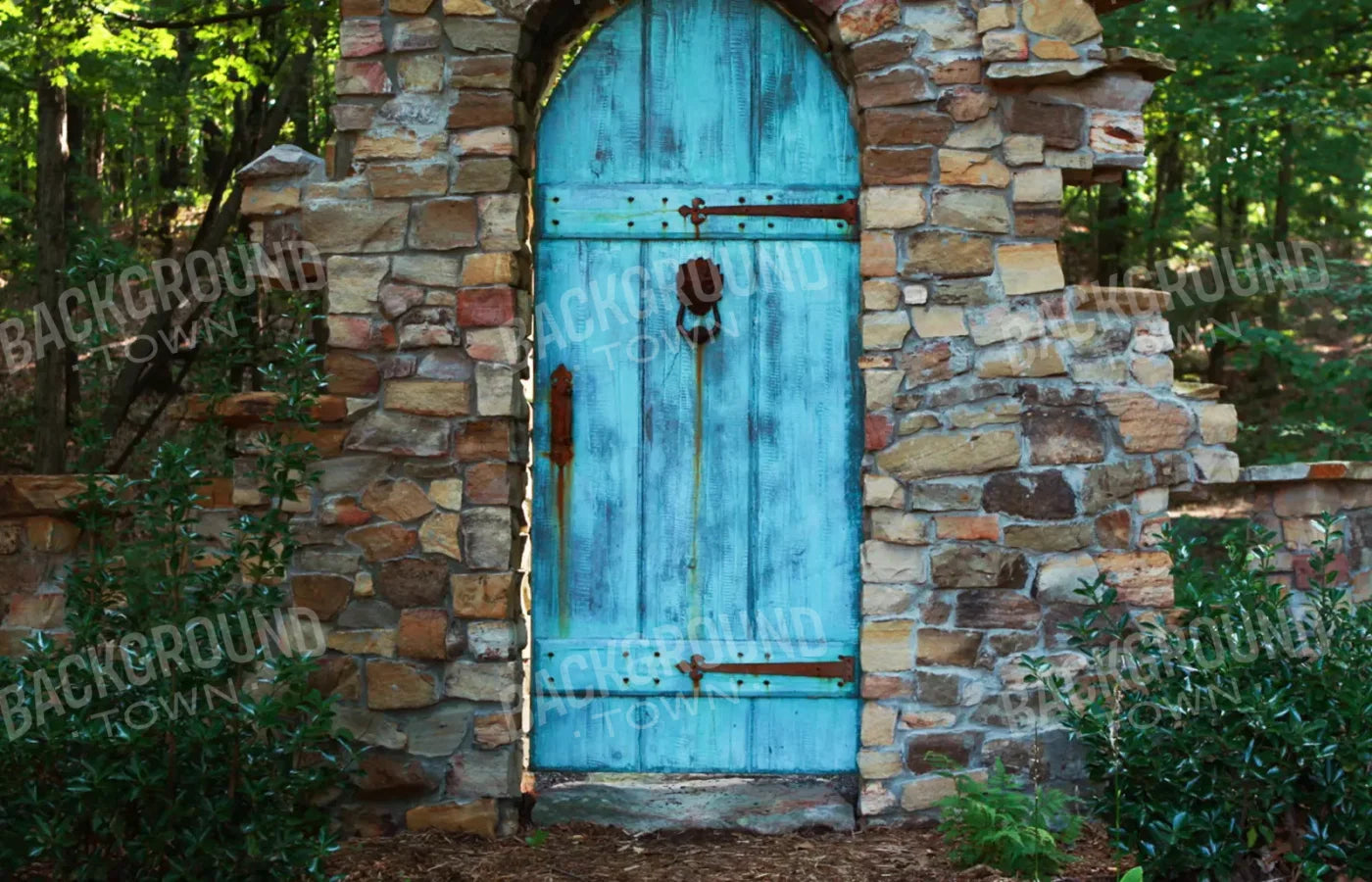 Doorway To Dreams 12X8 Ultracloth ( 144 X 96 Inch ) Backdrop