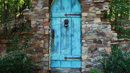 Doorway To Dreams 14X8 Ultracloth ( 168 X 96 Inch ) Backdrop