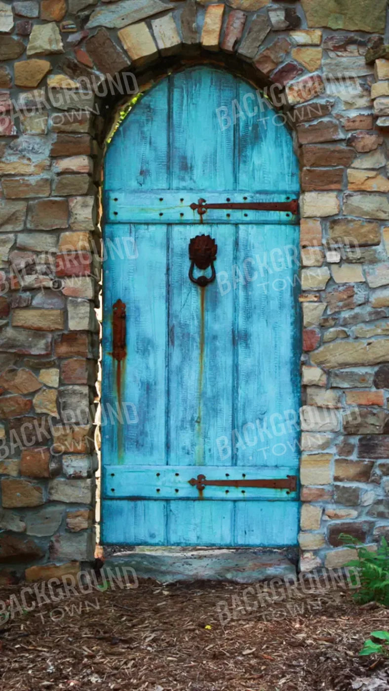 Doorway To Dreams 8X14 Ultracloth ( 96 X 168 Inch ) Backdrop