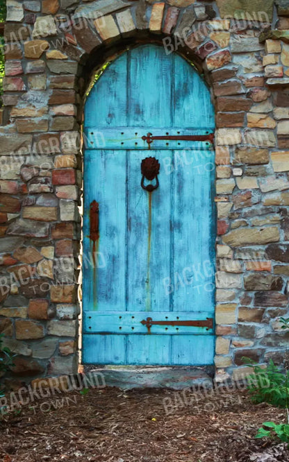 Doorway To Dreams 9X14 Ultracloth ( 108 X 168 Inch ) Backdrop
