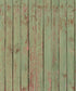 Green Wood Backdrop for Photography