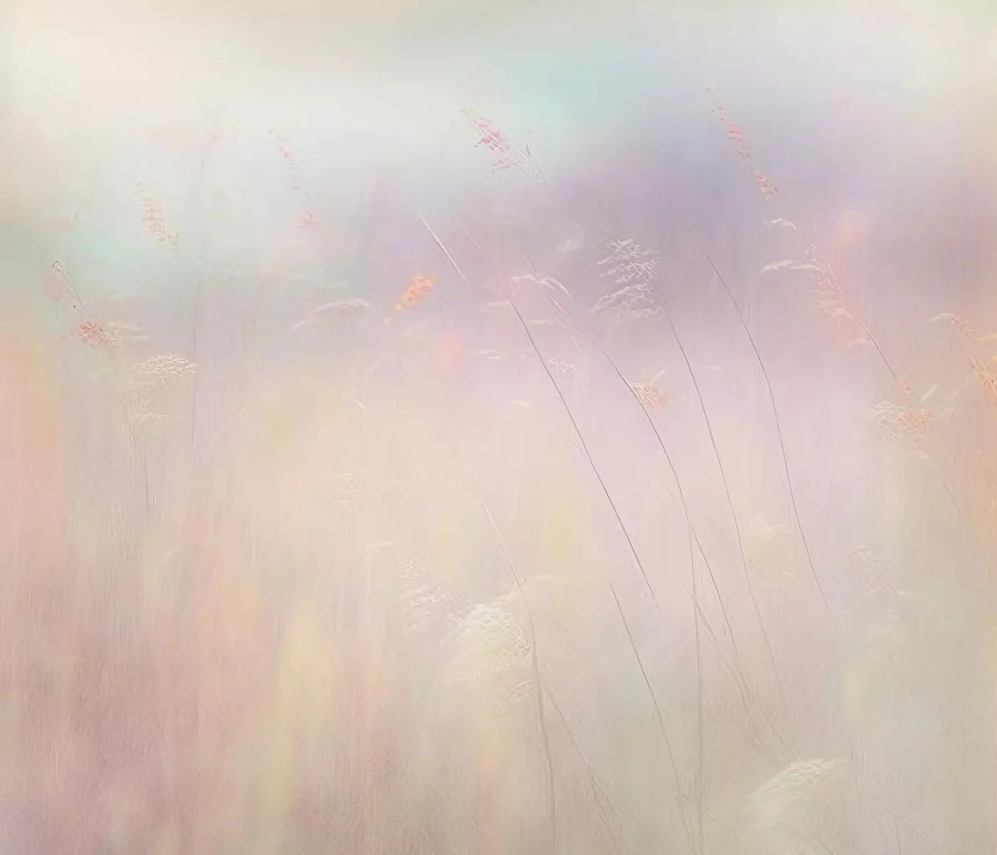 Dreamy Fields Ii 12X10 Ultracloth ( 144 X 120 Inch ) Backdrop