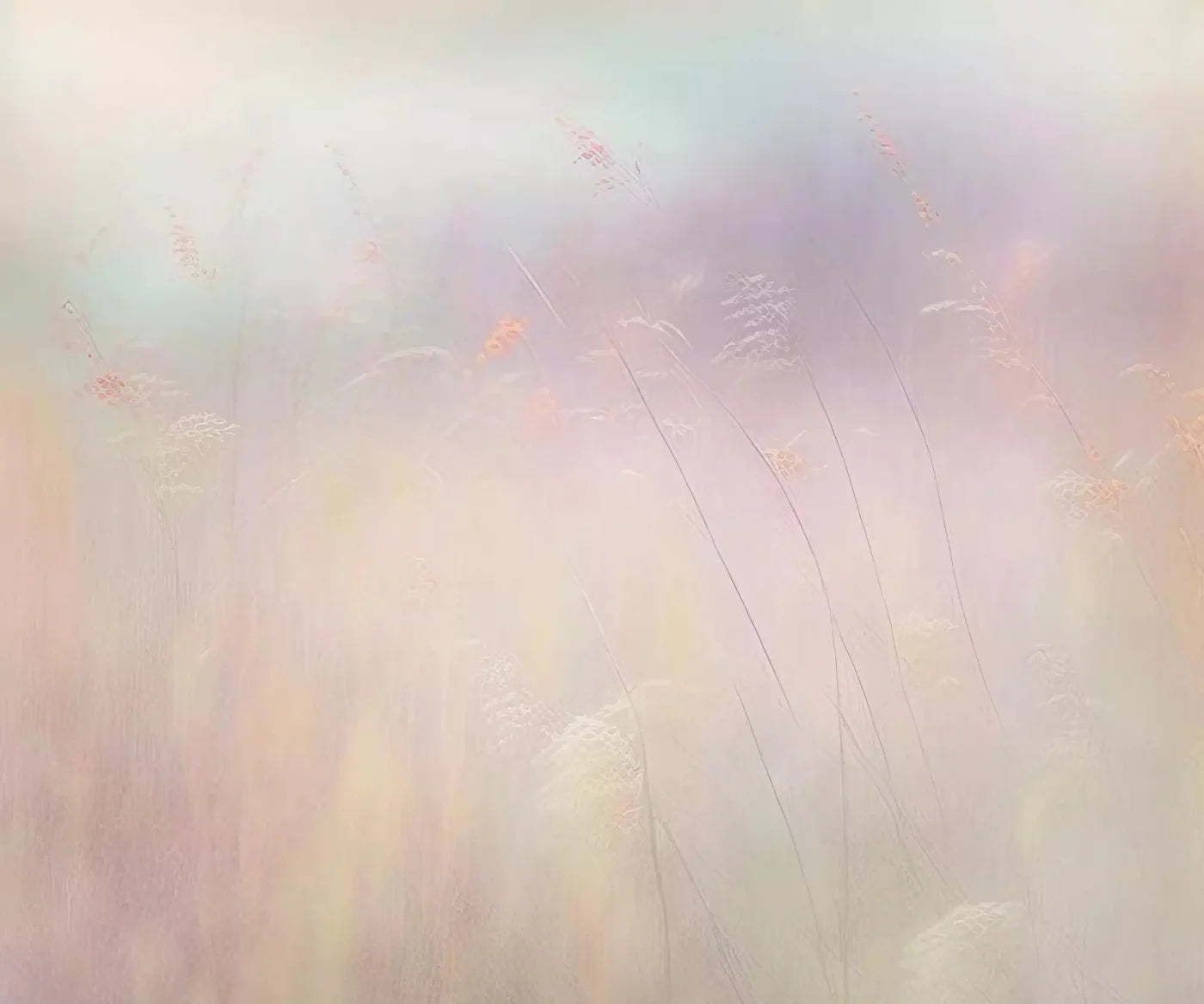 Dreamy Fields Ii 5X42 Fleece ( 60 X 50 Inch ) Backdrop