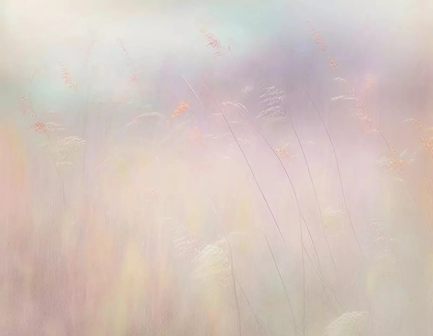 Dreamy Fields Ii 8X6 Fleece ( 96 X 72 Inch ) Backdrop