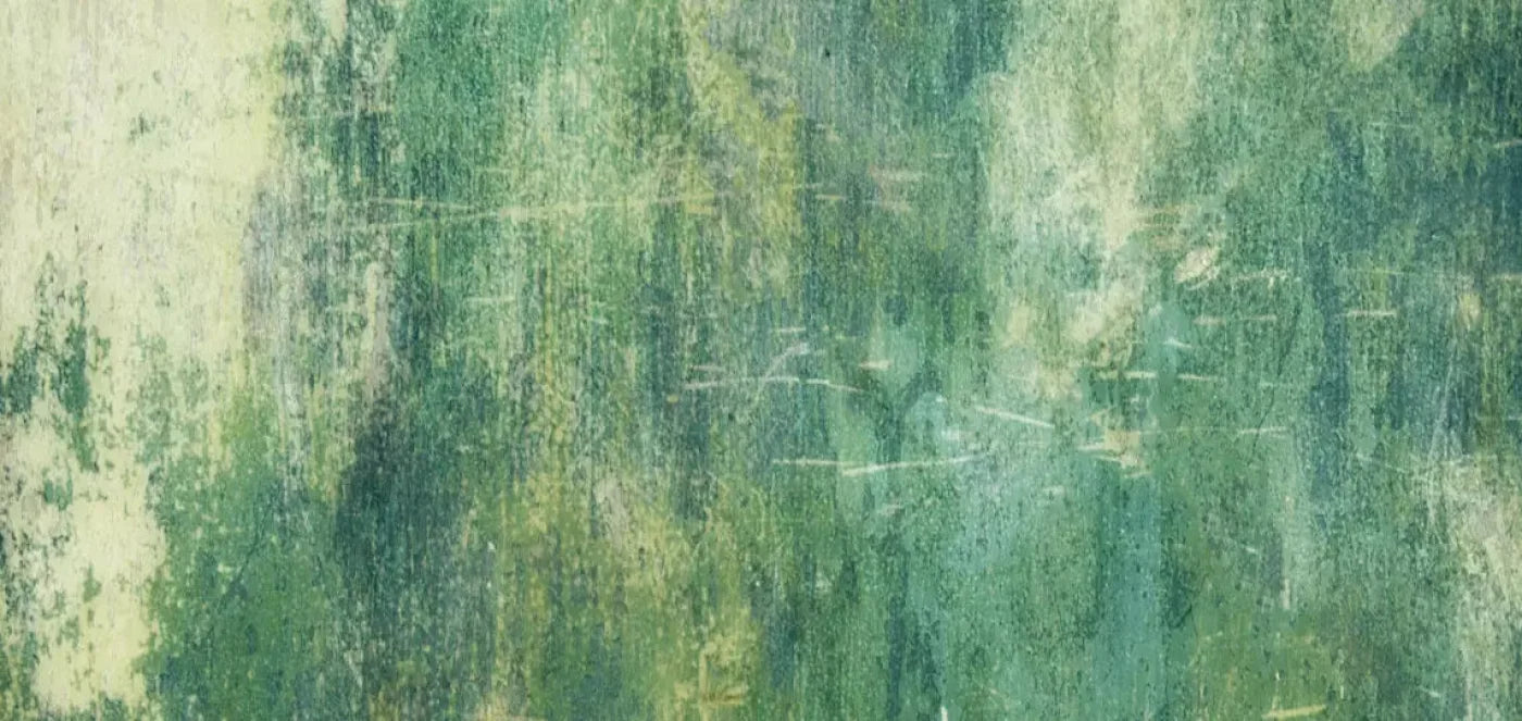 Dublin 16X8 Ultracloth ( 192 X 96 Inch ) Backdrop