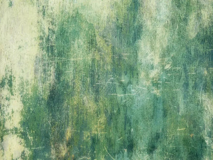 Dublin 68X5 Fleece ( 80 X 60 Inch ) Backdrop