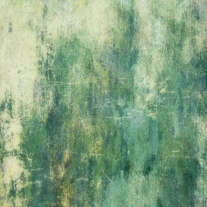 Dublin 8X8 Fleece ( 96 X Inch ) Backdrop
