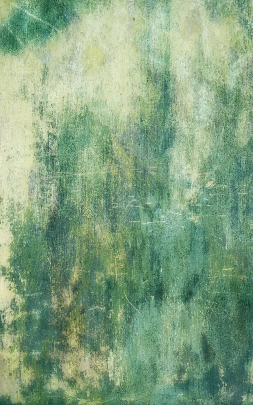 Dublin 9X14 Ultracloth ( 108 X 168 Inch ) Backdrop