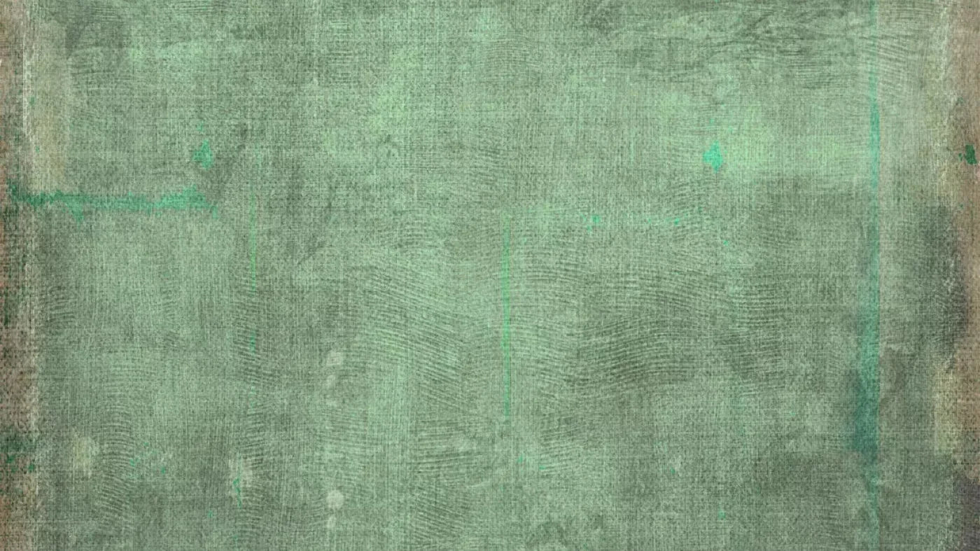 Dudley 14X8 Ultracloth ( 168 X 96 Inch ) Backdrop