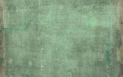Dudley 14X9 Ultracloth ( 168 X 108 Inch ) Backdrop