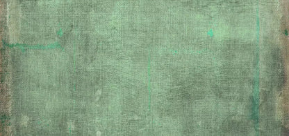 Dudley 16X8 Ultracloth ( 192 X 96 Inch ) Backdrop