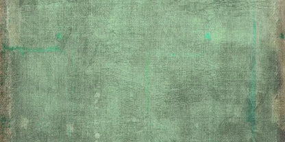 Dudley 20X10 Ultracloth ( 240 X 120 Inch ) Backdrop