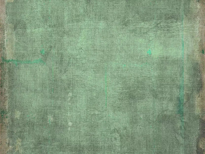 Dudley 68X5 Fleece ( 80 X 60 Inch ) Backdrop