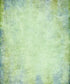 Green Textured Backdrop for Photography