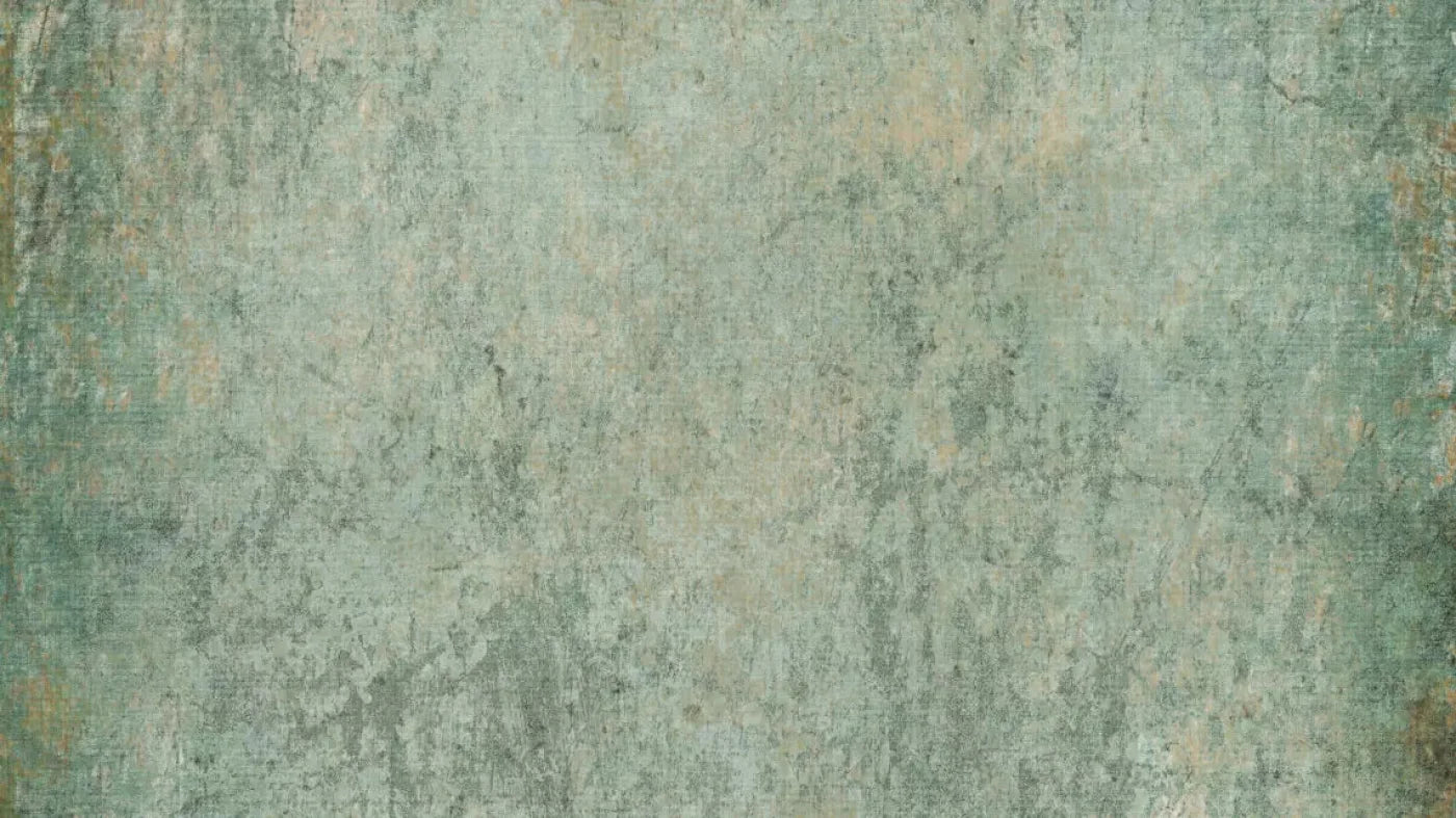 Dustin 14X8 Ultracloth ( 168 X 96 Inch ) Backdrop