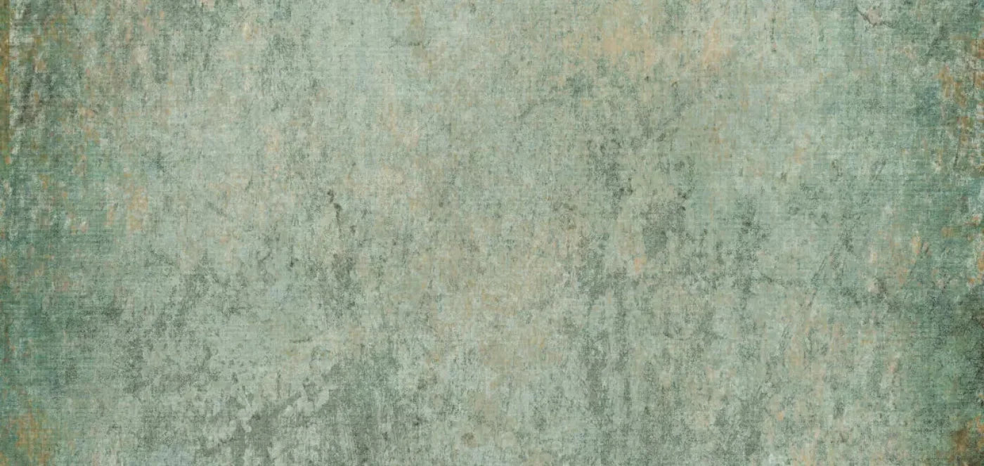 Dustin 16X8 Ultracloth ( 192 X 96 Inch ) Backdrop