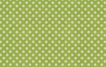 Earl 16X10 Ultracloth ( 192 X 120 Inch ) Backdrop