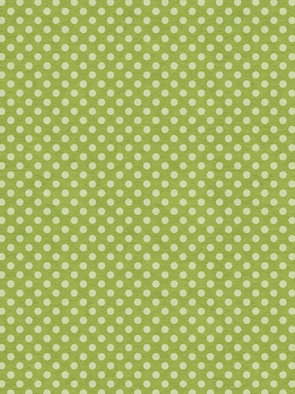 Earl 8X10 Fleece ( 96 X 120 Inch ) Backdrop