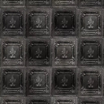 Ebony Backdrop