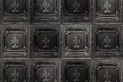 Ebony Backdrop