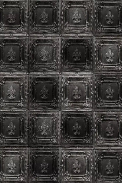 Ebony Backdrop