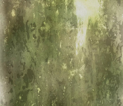 Eco 12X10 Ultracloth ( 144 X 120 Inch ) Backdrop