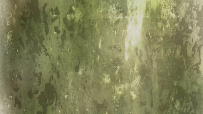 Eco 14X8 Ultracloth ( 168 X 96 Inch ) Backdrop