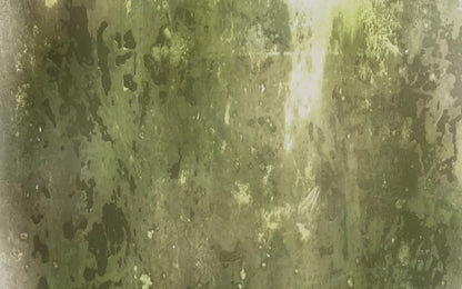 Eco 14X9 Ultracloth ( 168 X 108 Inch ) Backdrop
