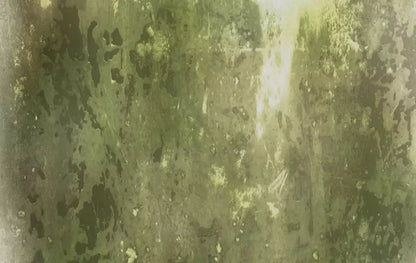 Eco 16X10 Ultracloth ( 192 X 120 Inch ) Backdrop