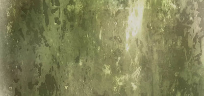 Eco 16X8 Ultracloth ( 192 X 96 Inch ) Backdrop