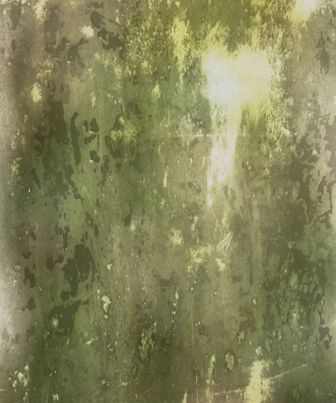 Green Urban Grunge Backdrop for Photography