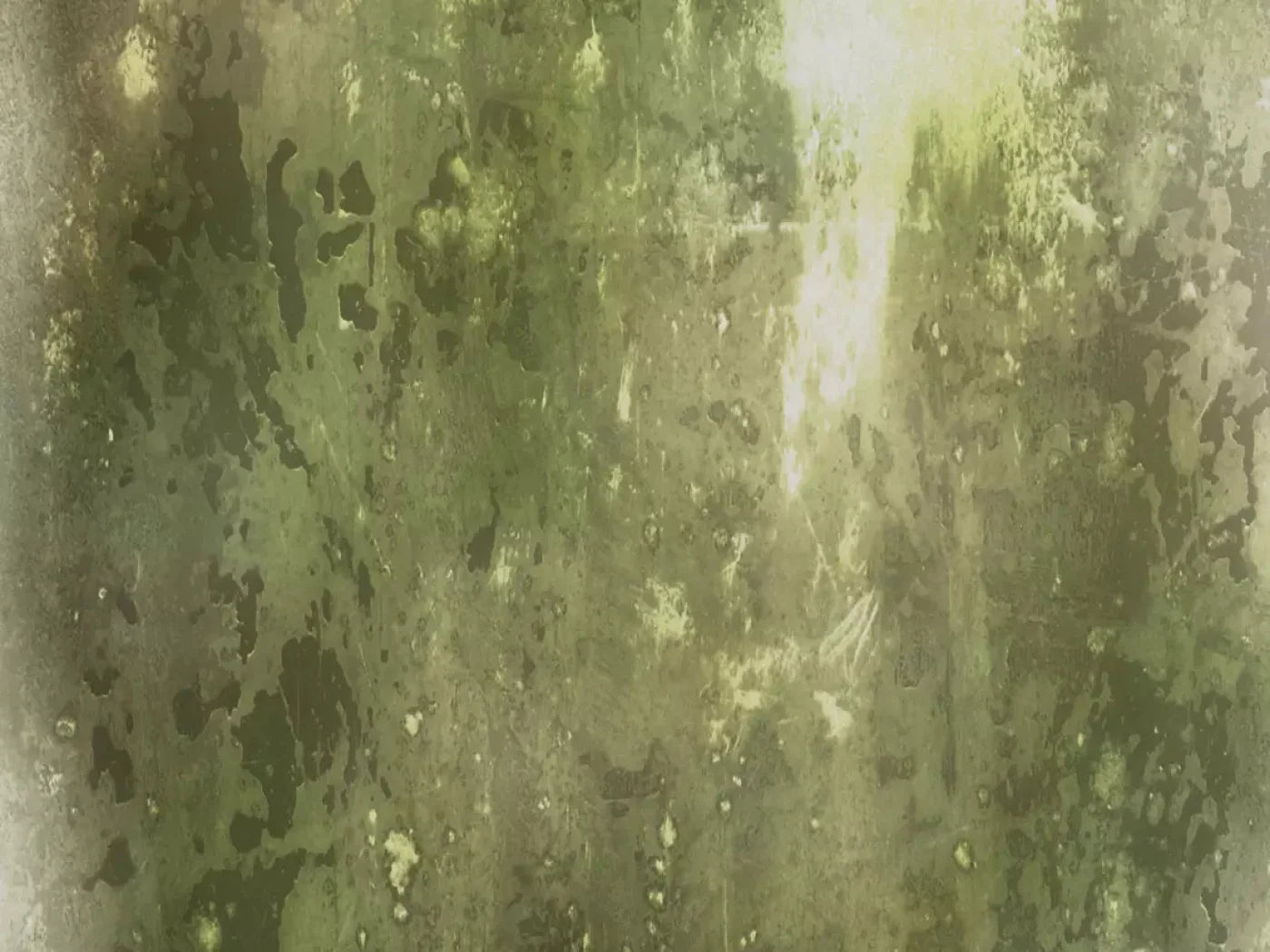 Eco 68X5 Fleece ( 80 X 60 Inch ) Backdrop