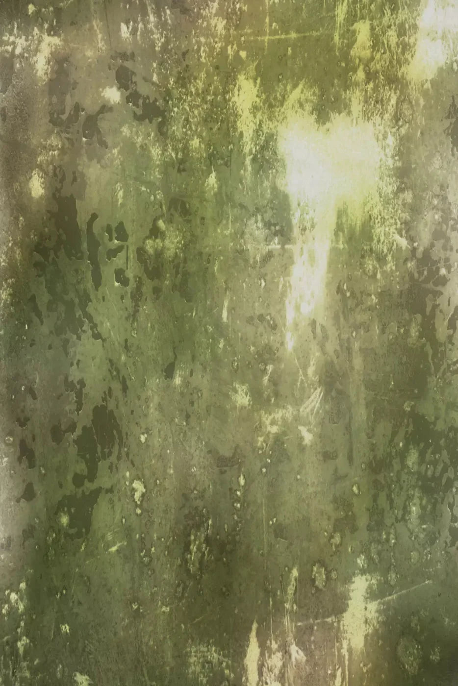 Eco Backdrop