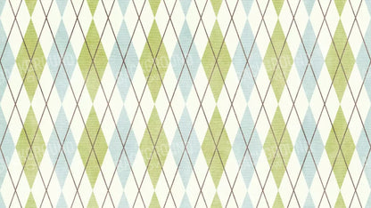 Eddie 14’X8’ Ultracloth (168 X 96 Inch) Backdrop