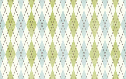 Eddie 14’X9’ Ultracloth (168 X 108 Inch) Backdrop